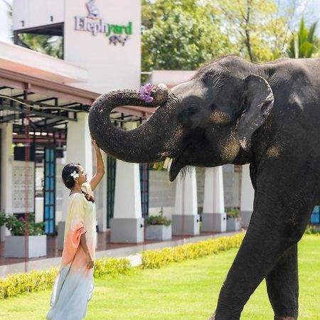 ホテル Elephyard Retreat マヒヤンガナ エクステリア 写真