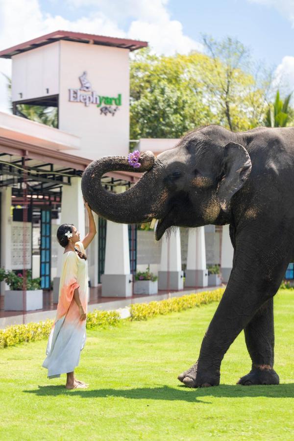 ホテル Elephyard Retreat マヒヤンガナ エクステリア 写真